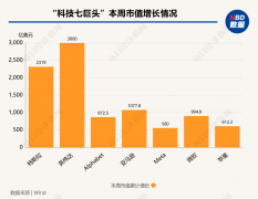 硅谷成大选赢家!七巨头市值一周增9000亿美元