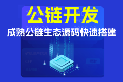 公链开发技术的无限可能与挑战